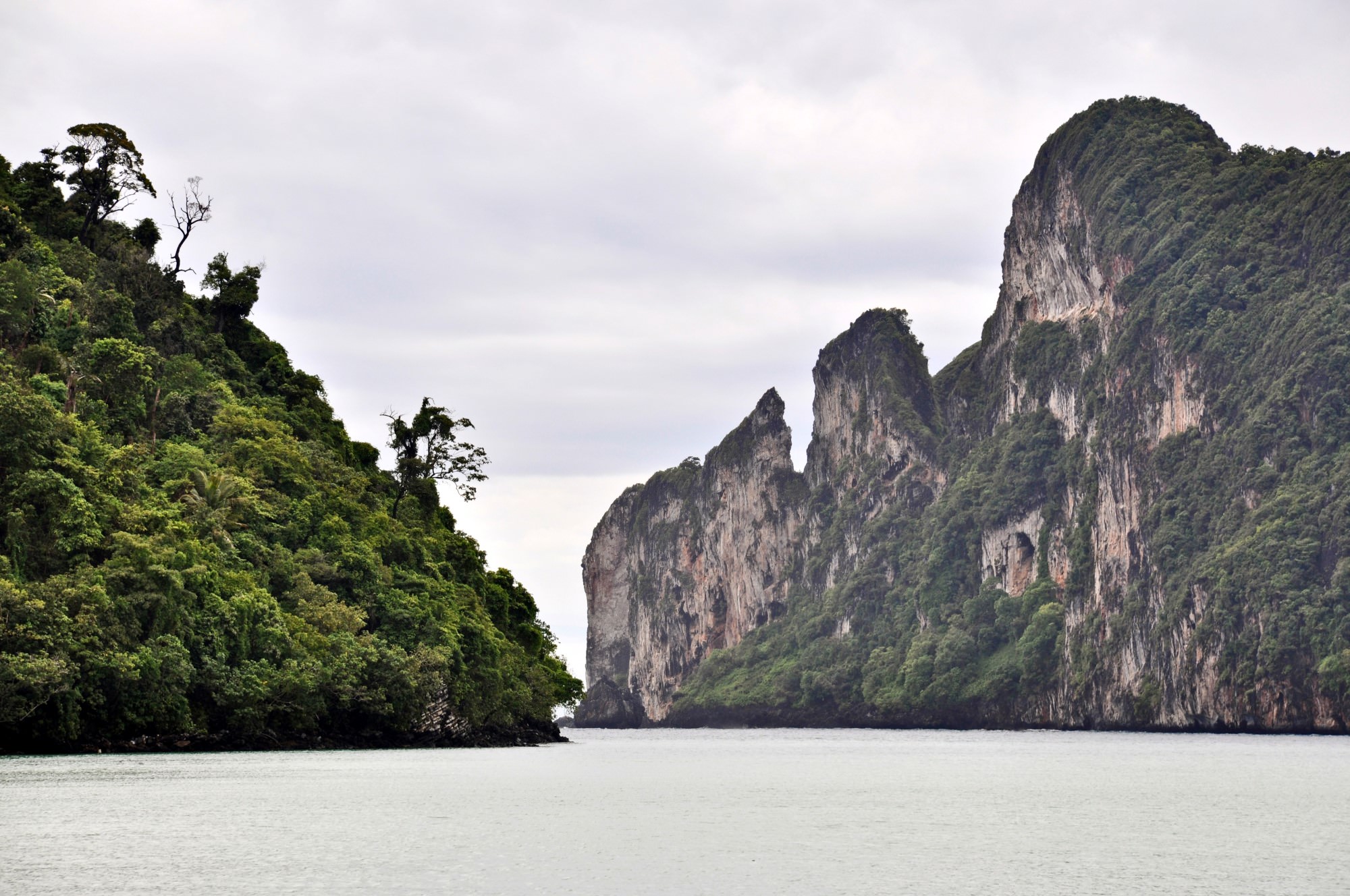 Ko phi phi