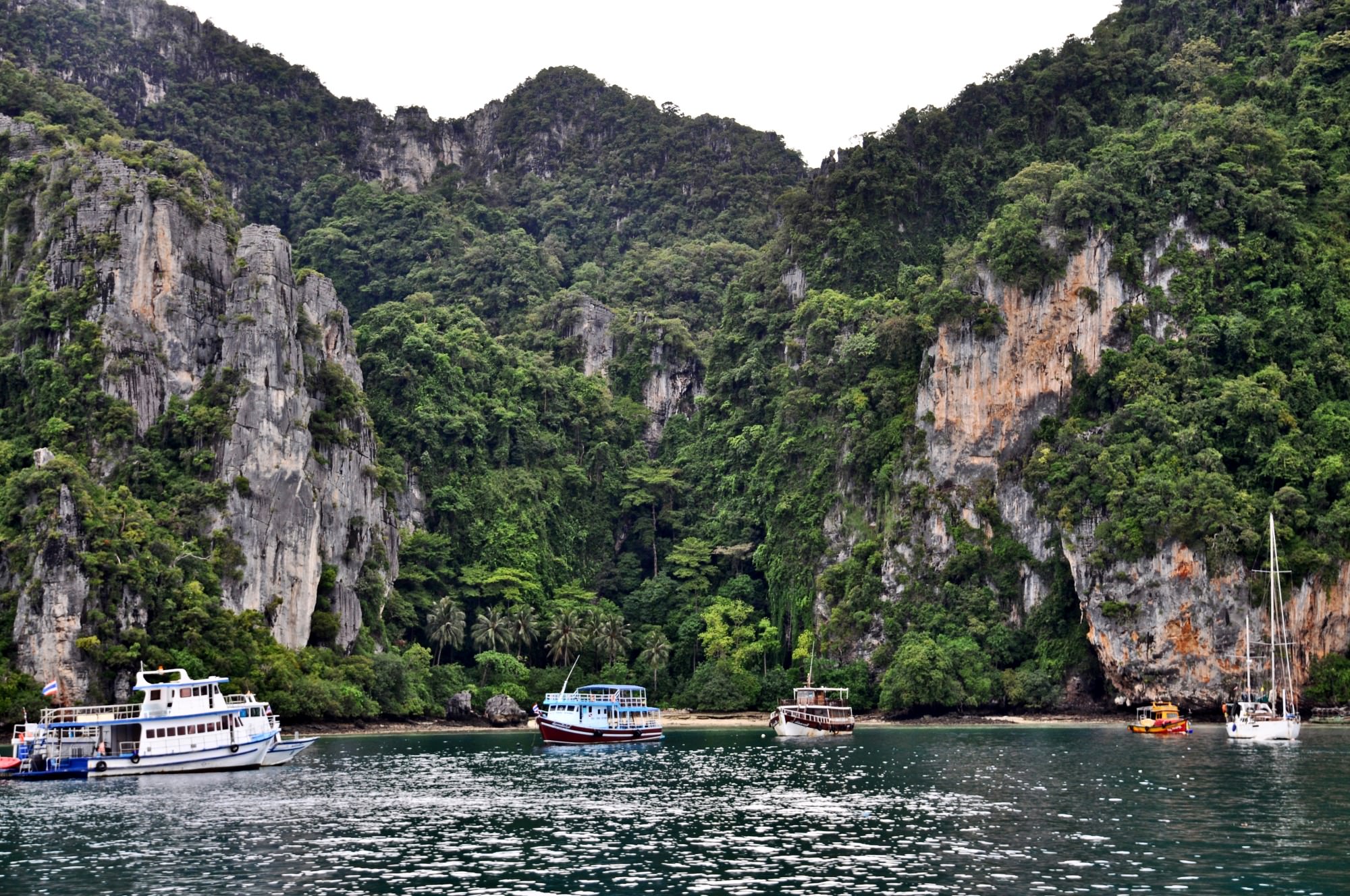 Ko phi phi