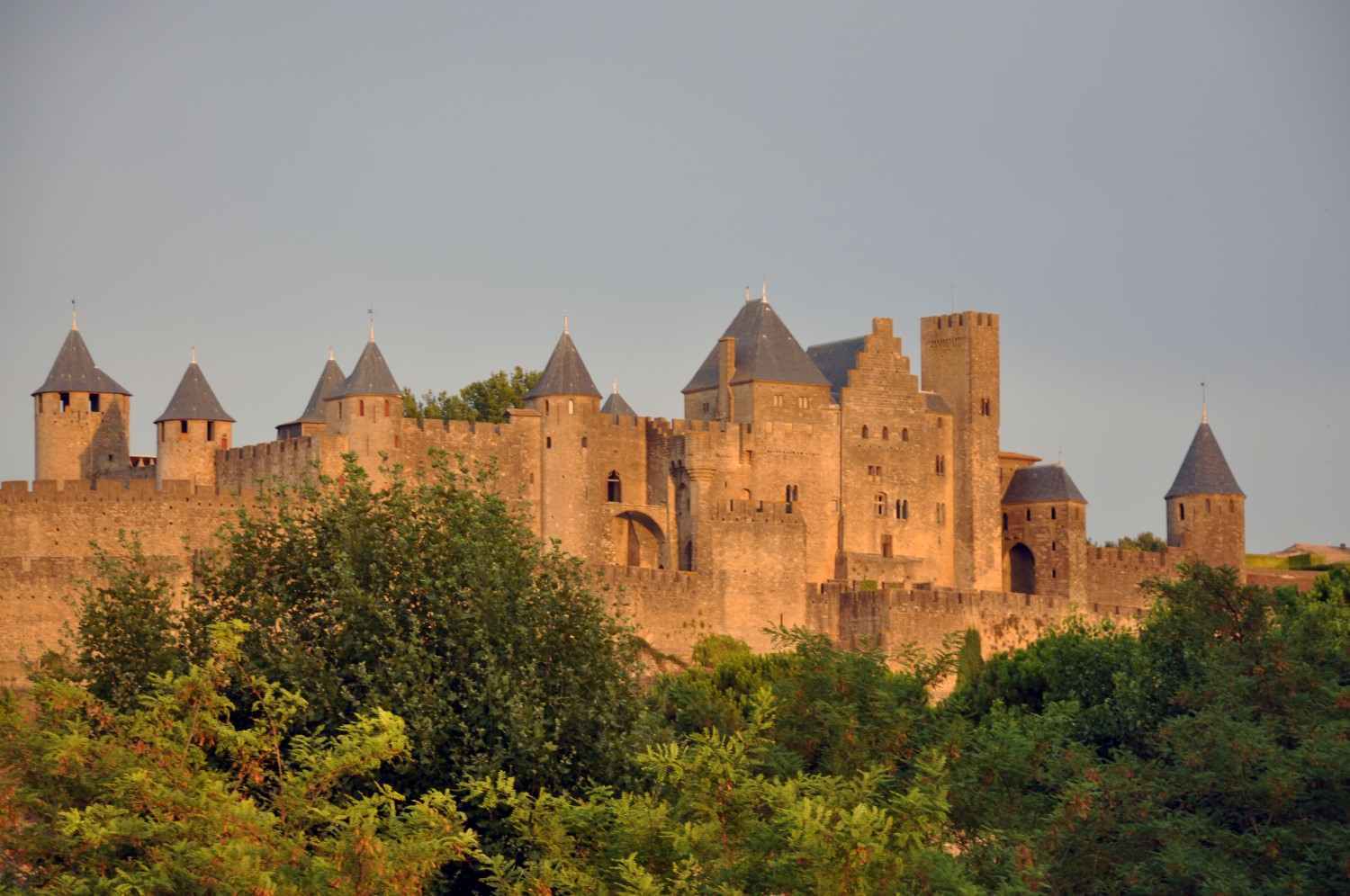 Carcasonne y cataros