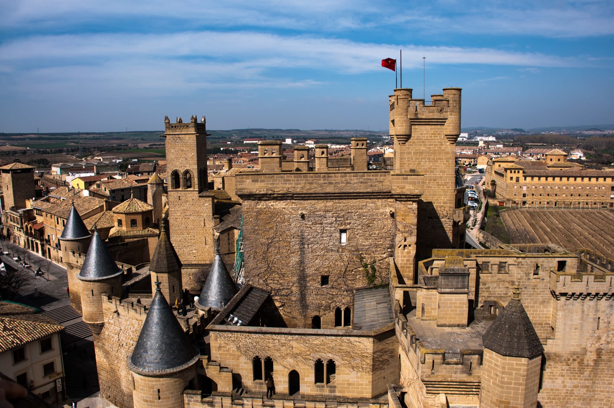 En este momento estás viendo Navarra Medieval – Palacio de Olite