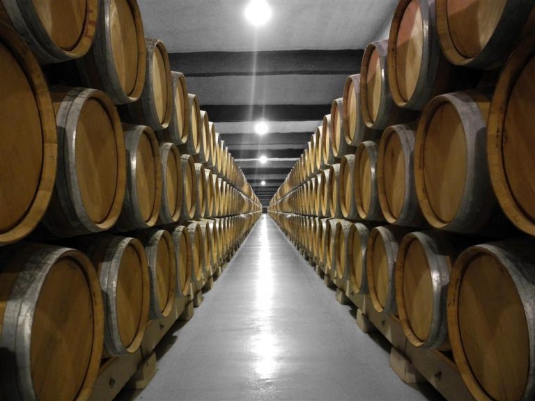 Lee más sobre el artículo Logroño, la capital del vino