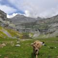 Ordesa y el monte perdido – Pirineo aragonés