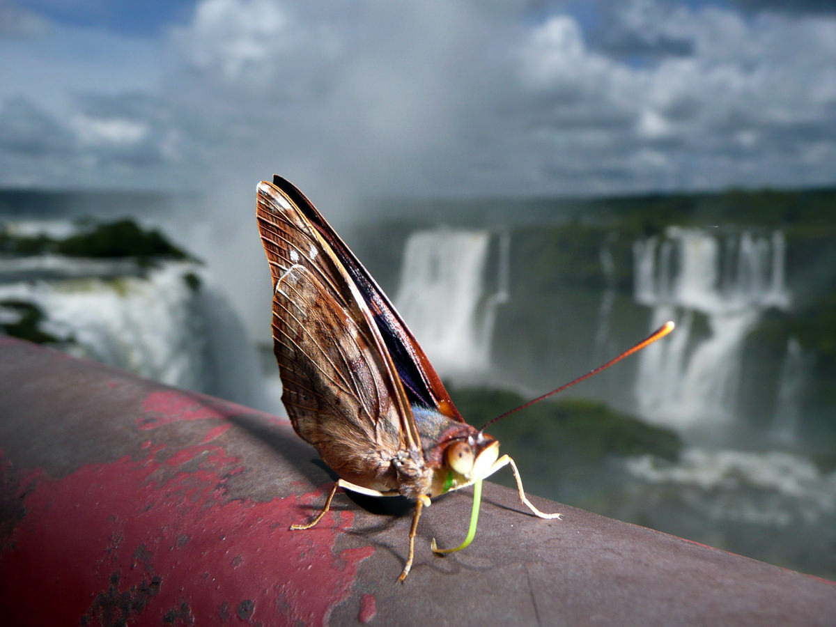 En este momento estás viendo Argentina, Iguazú, donde el paraíso existe