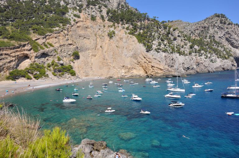 Lee más sobre el artículo Mallorca – Alcúdia y sus alrededores