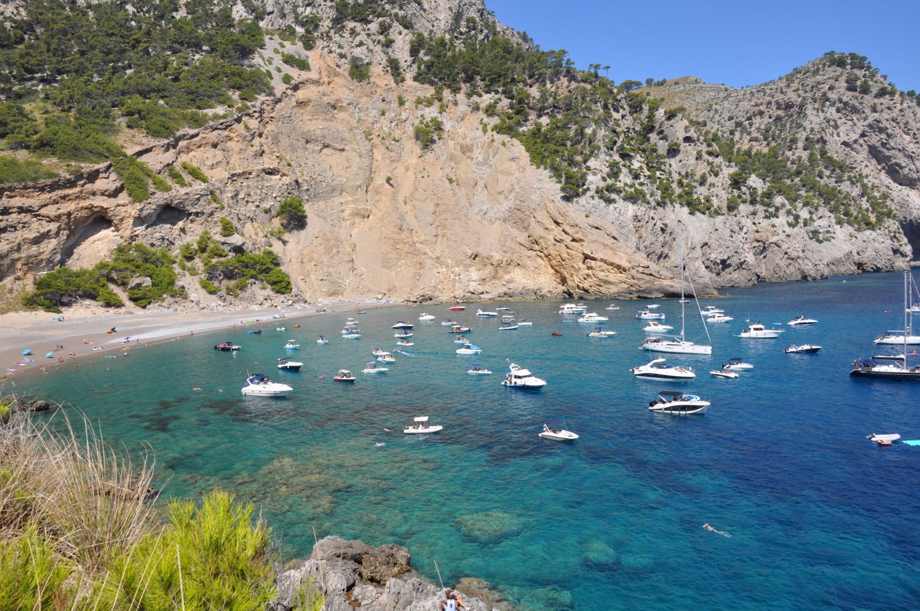 En este momento estás viendo Mallorca – Alcúdia y sus alrededores