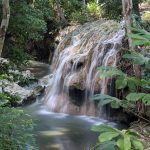 Río Dulce: un puente entre selva y Caribe