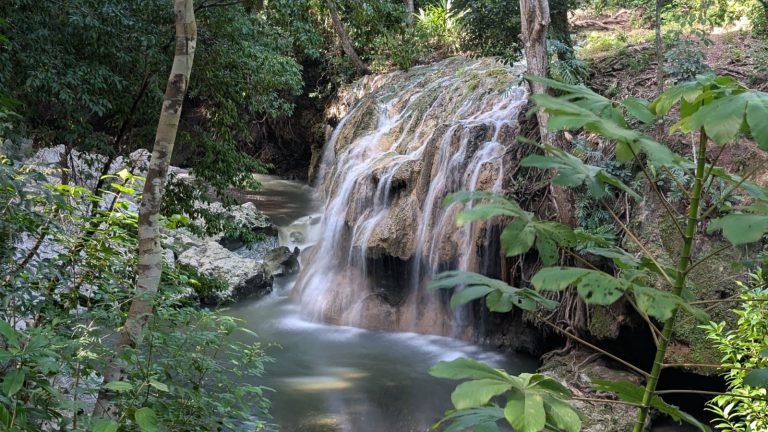 Lee más sobre el artículo Río Dulce: un puente entre selva y Caribe