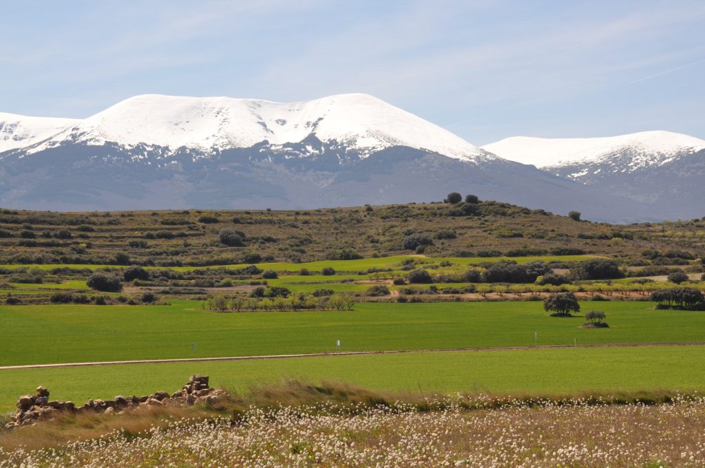 Mirador de la Diezma