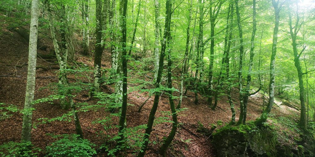 Iparralde