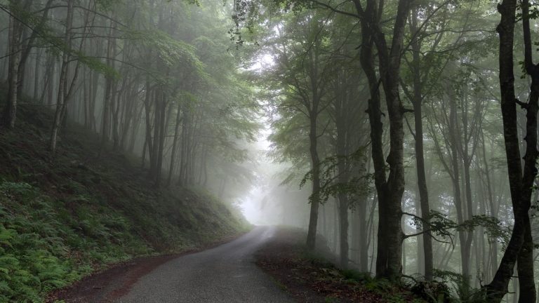 Lee más sobre el artículo Qué ver en el País Vasco francés: montañas, bosques y paisajes de Iparralde